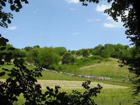 12. pohod Pomlad v prleških goricah Dan odprtih kleti in veselih ljudi, 28.5.2016 48